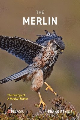 Frank Rennie - Merlin, Häftad