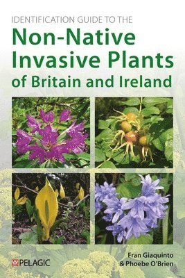 bokomslag Identification Guide to the Non-Native Invasive Plants of Britain and Ireland