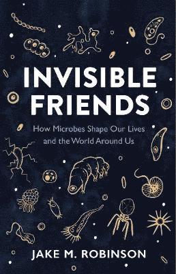 Invisible Friends 1