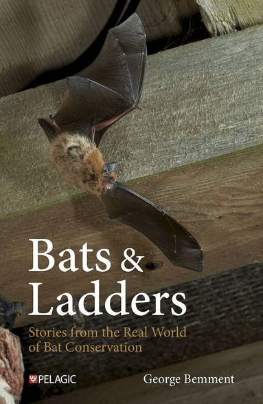 George Bemment - Bats & Ladders, Inbunden