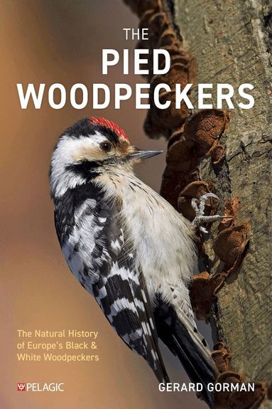 Gerard Gorman - Pied Woodpeckers, Häftad