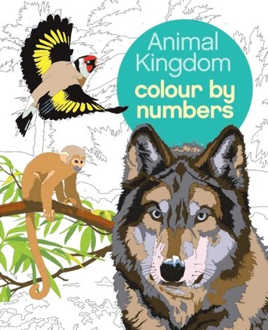 bokomslag Animal Kingdom Colour by Numbers
