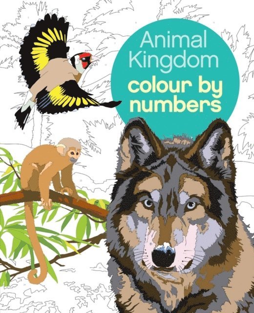 Animal Kingdom Colour by Numbers 1