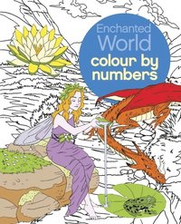 bokomslag Enchanted World Colour by Numbers