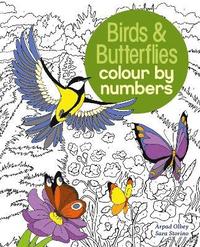 bokomslag Birds & Butterflies Colour by Numbers