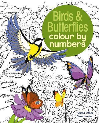 Birds & Butterflies Colour by Numbers 1