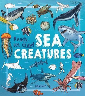 Ready, Set, Draw! Sea Creatures 1