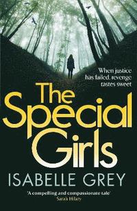 bokomslag The Special Girls