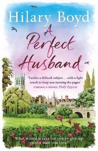 bokomslag Perfect Husband