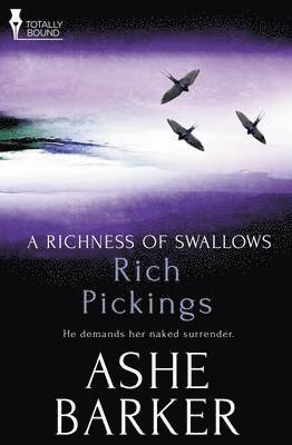 Ashe Barker - Richness of Swallows, Häftad