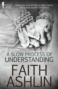 bokomslag Slow Process of Understanding