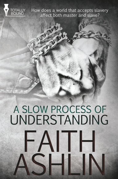 bokomslag Slow Process of Understanding