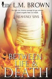 bokomslag Heavenly Sins