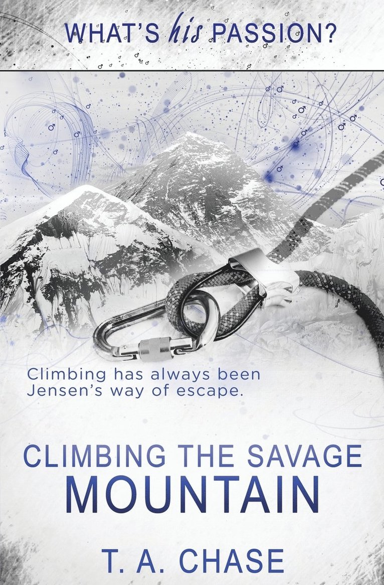Climbing the Savage Mountain 1
