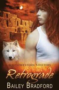 bokomslag Southwestern Shifters