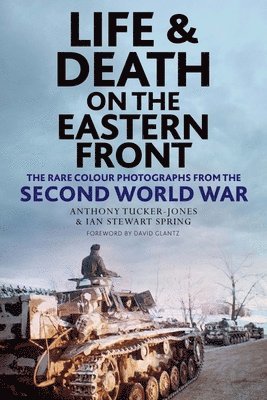 bokomslag Life and Death on the Eastern Front