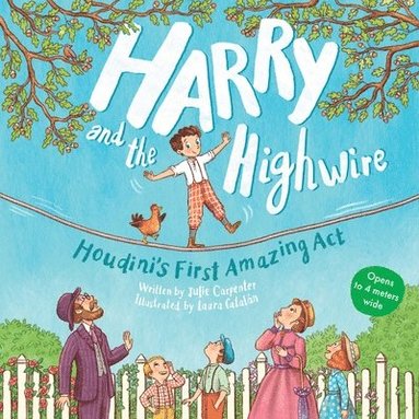bokomslag Harry and the Highwire