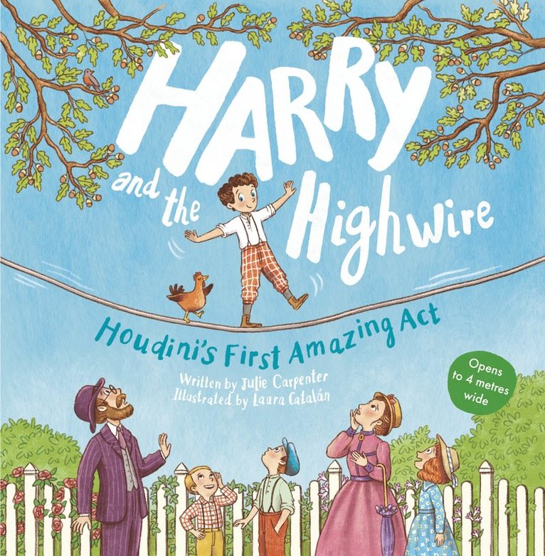 Harry and the Highwire 1