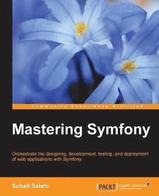 bokomslag Mastering Symfony