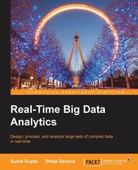 bokomslag Real-Time Big Data Analytics