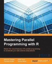 bokomslag Mastering Parallel Programming with R