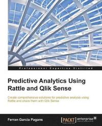 bokomslag Predictive Analytics Using Rattle and Qlik Sense