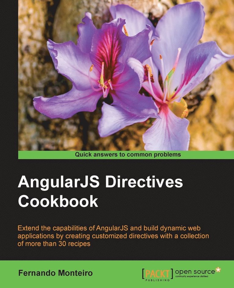 AngularJS Directives Cookbook 1