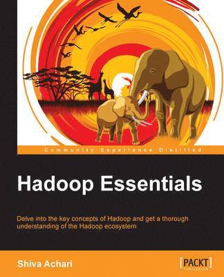 Hadoop Essentials 1