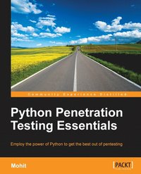 bokomslag Python Penetration Testing Essentials