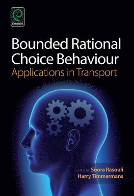 Soora Rasouli, Harry Timmermans - Bounded Rational Choice Behaviour, Inbunden