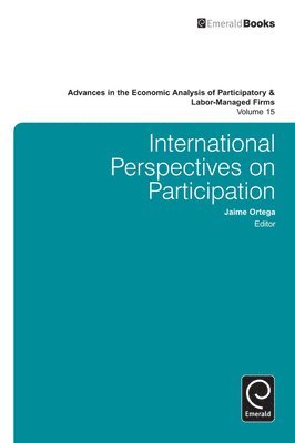 bokomslag International Perspectives on Participation