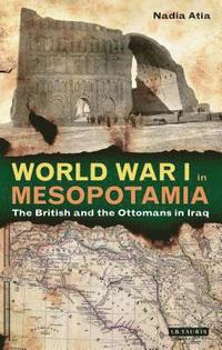 bokomslag World War I in Mesopotamia