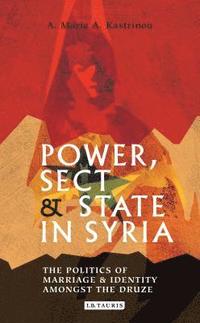 bokomslag Power, Sect and State in Syria