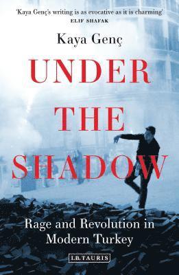 bokomslag Under the Shadow: Rage and Revolution in Modern Turkey