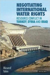 bokomslag Negotiating International Water Rights