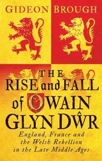 bokomslag The Rise and Fall of Owain Glyn Dwr