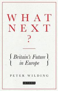 bokomslag What Next?: Britain's Future in Europe