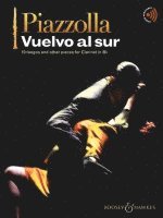 bokomslag Vuelvo al sur
