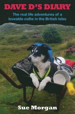 Sue Morgan - Dave D's Diary, Inbunden