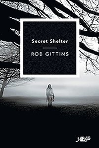bokomslag Secret Shelter