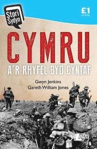 bokomslag Stori Sydyn: Cymru a'r Rhyfel Byd Cyntaf