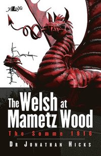 bokomslag Welsh Of Mametz Wood The Somme 1916