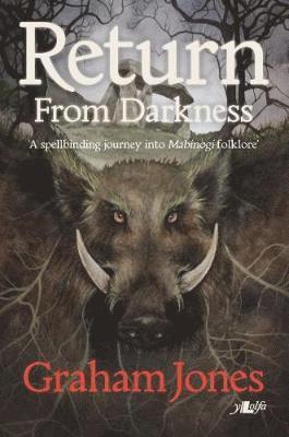 Return From Darkness
