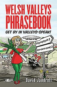 bokomslag Welsh Valleys Phrasebook - Get by in Valleys-Speak!