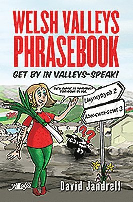 Welsh Valleys Phrasebook - Get by in Valleys-Speak! 1
