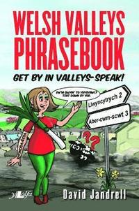 bokomslag Welsh Valleys Phrasebook - Get by in Valleys-Speak! (Counterpacks)
