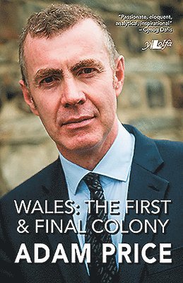 bokomslag Wales - The First and Final Colony