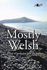 bokomslag Mostly Welsh