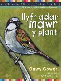 bokomslag Llyfr Adar Mawr y Plant