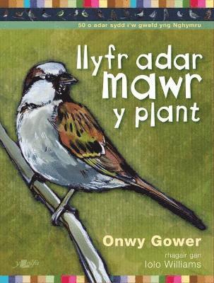 bokomslag Llyfr Adar Mawr y Plant
